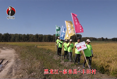 黑龍江-泰來(lái)縣-豐田村-01